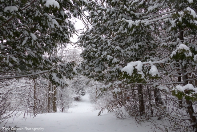 In View | Walk In